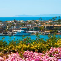 A scene in Newport Beach in Orange County with houses and yachts in Lido Isle, Newport Bay,  Santa Monica Mountains (and the city of Malibu) in the background and plants and flowers in the foreground.